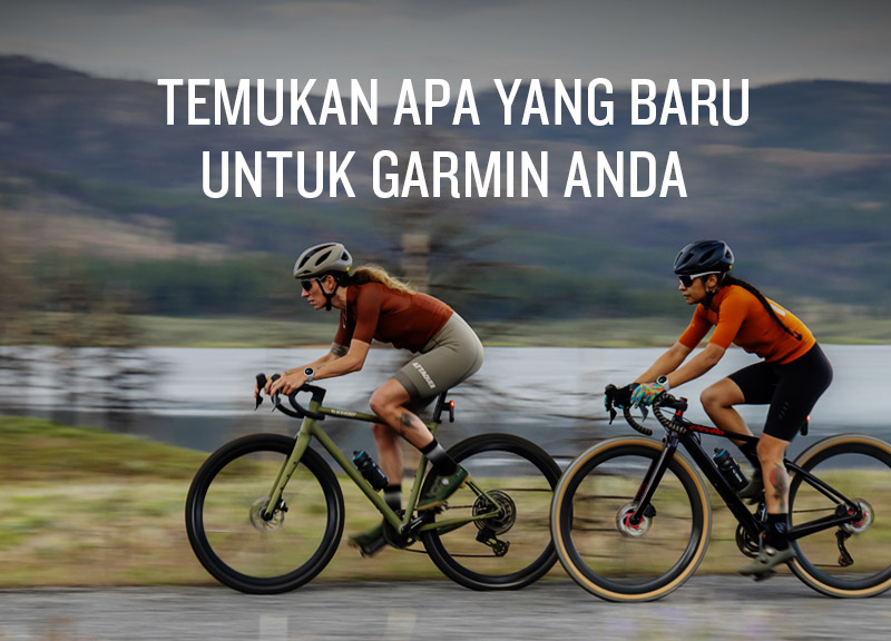 PEMBARUAN PERANGKAT LUNAK Q4 2025