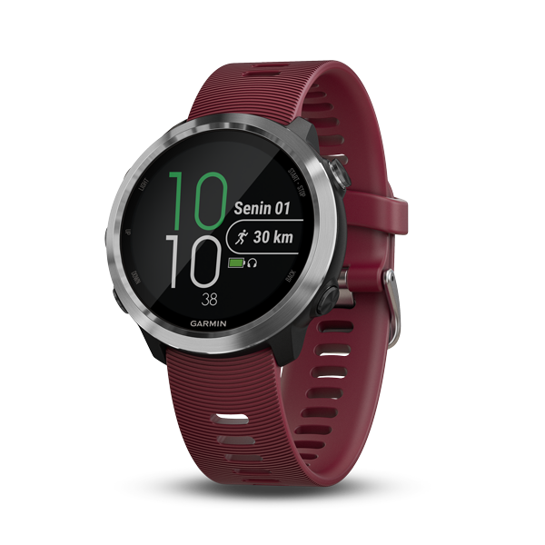 Forerunner 645 sandstone on sale