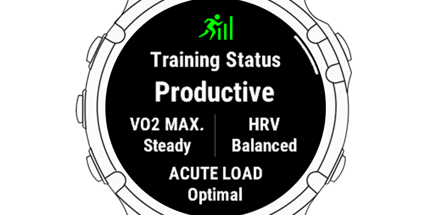 Training Status