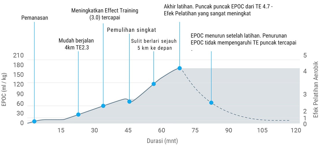 A graph showing excess post-exercise consumption derived from heart rate data during exercise.